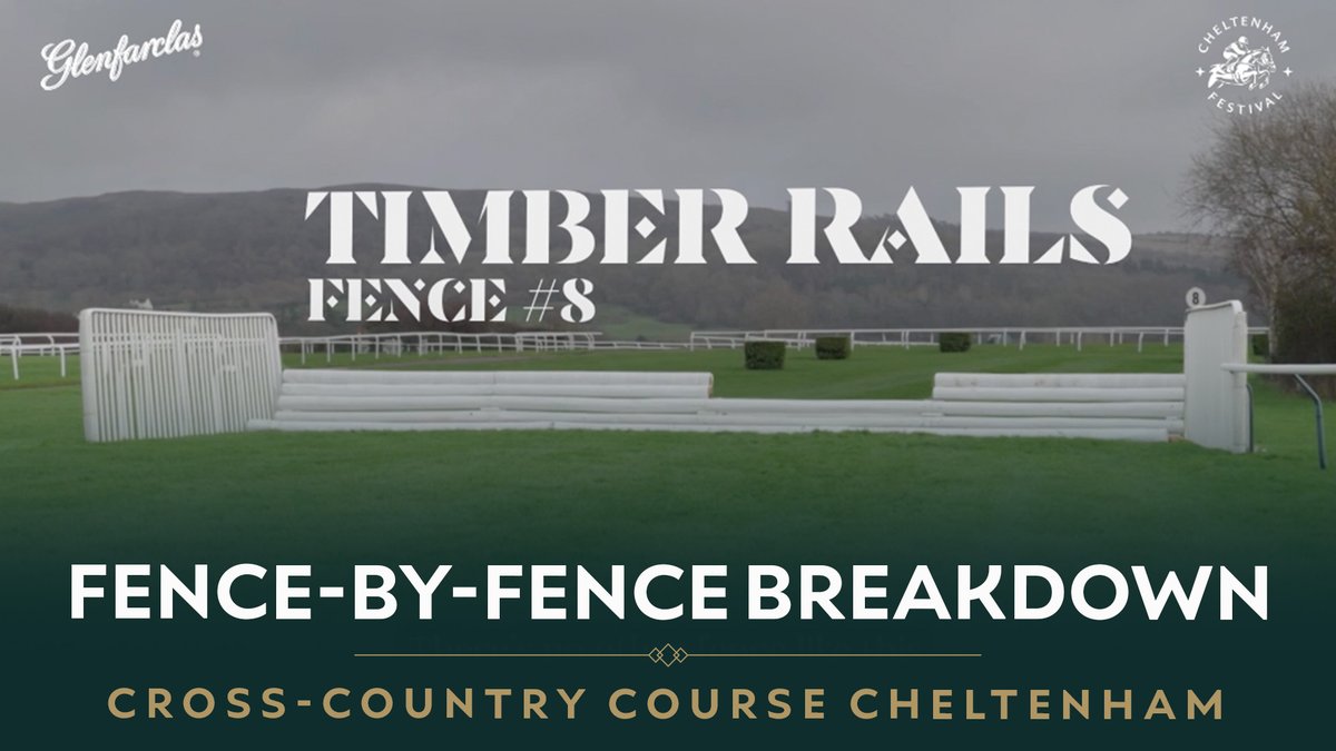 CheltenhamRacecourse tweet media