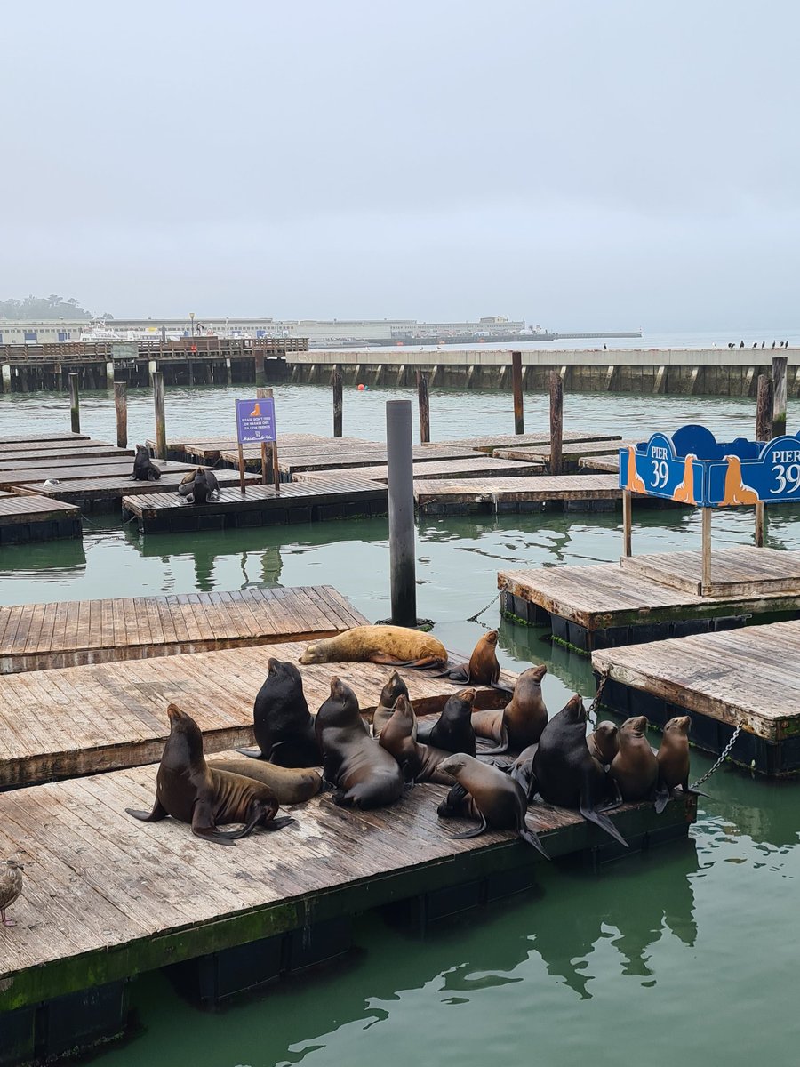 Simon Beattie tweet media