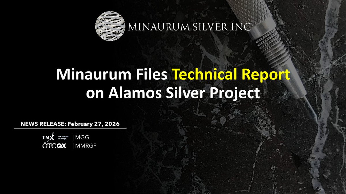 Minaurum Silver tweet media