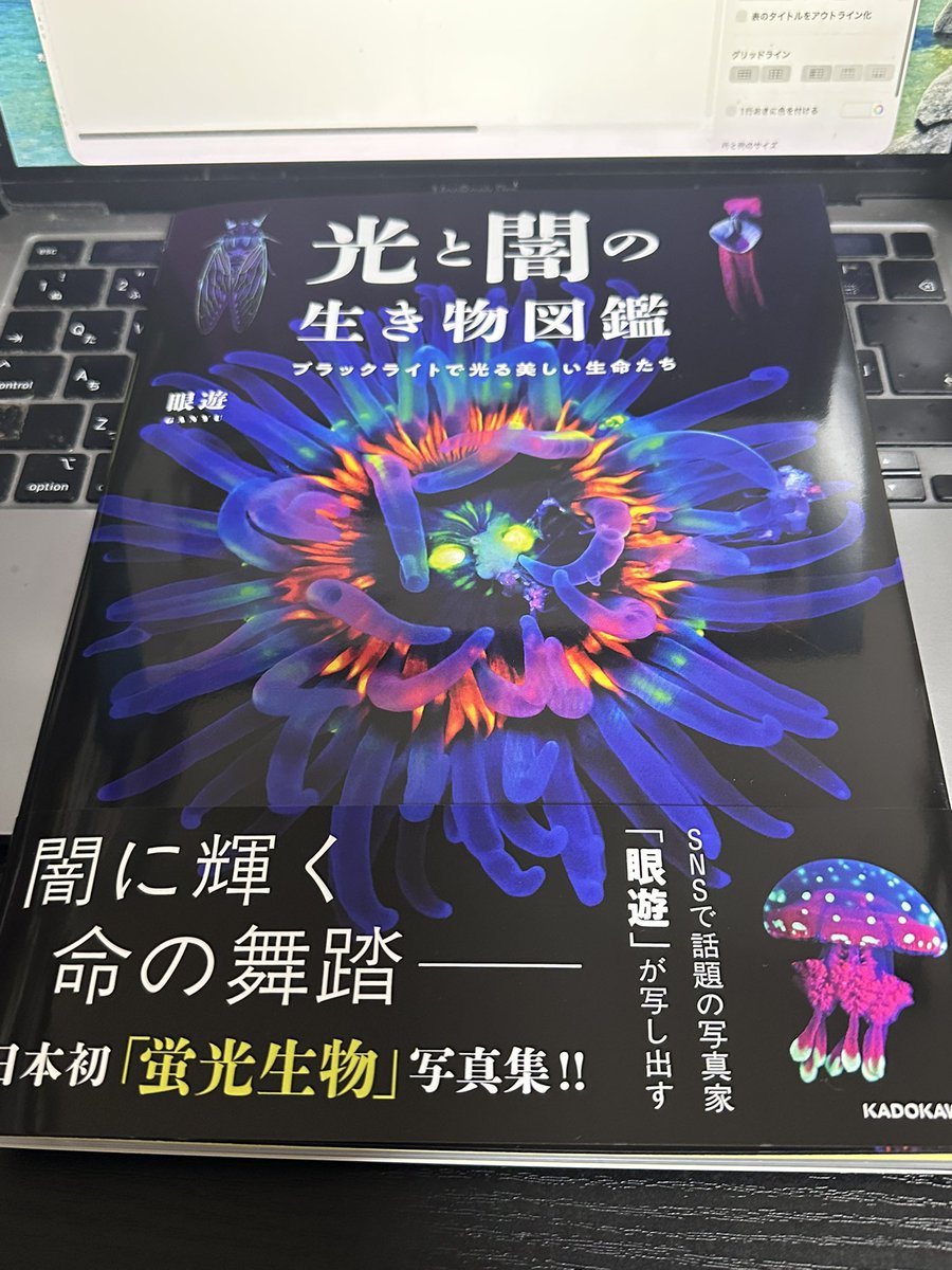 ぐるぐるうづまき (@guruguruuzumaki) / Posts / X