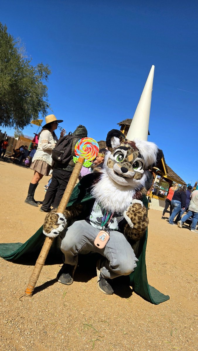 Cardboard Cat tweet media