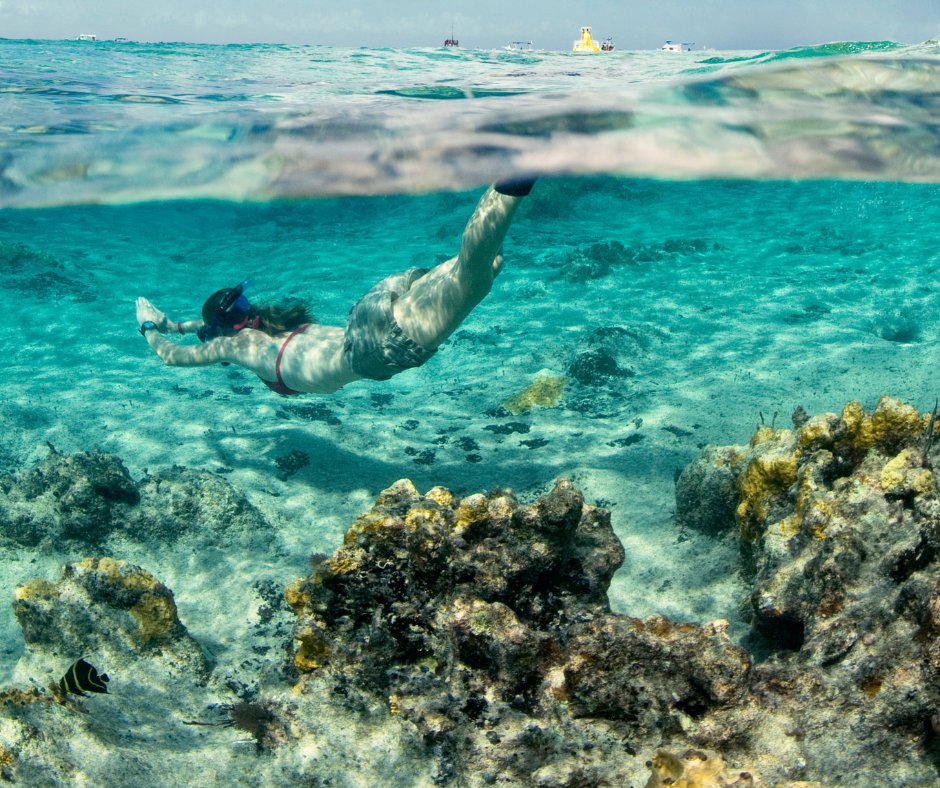 MSCCruceros tweet media