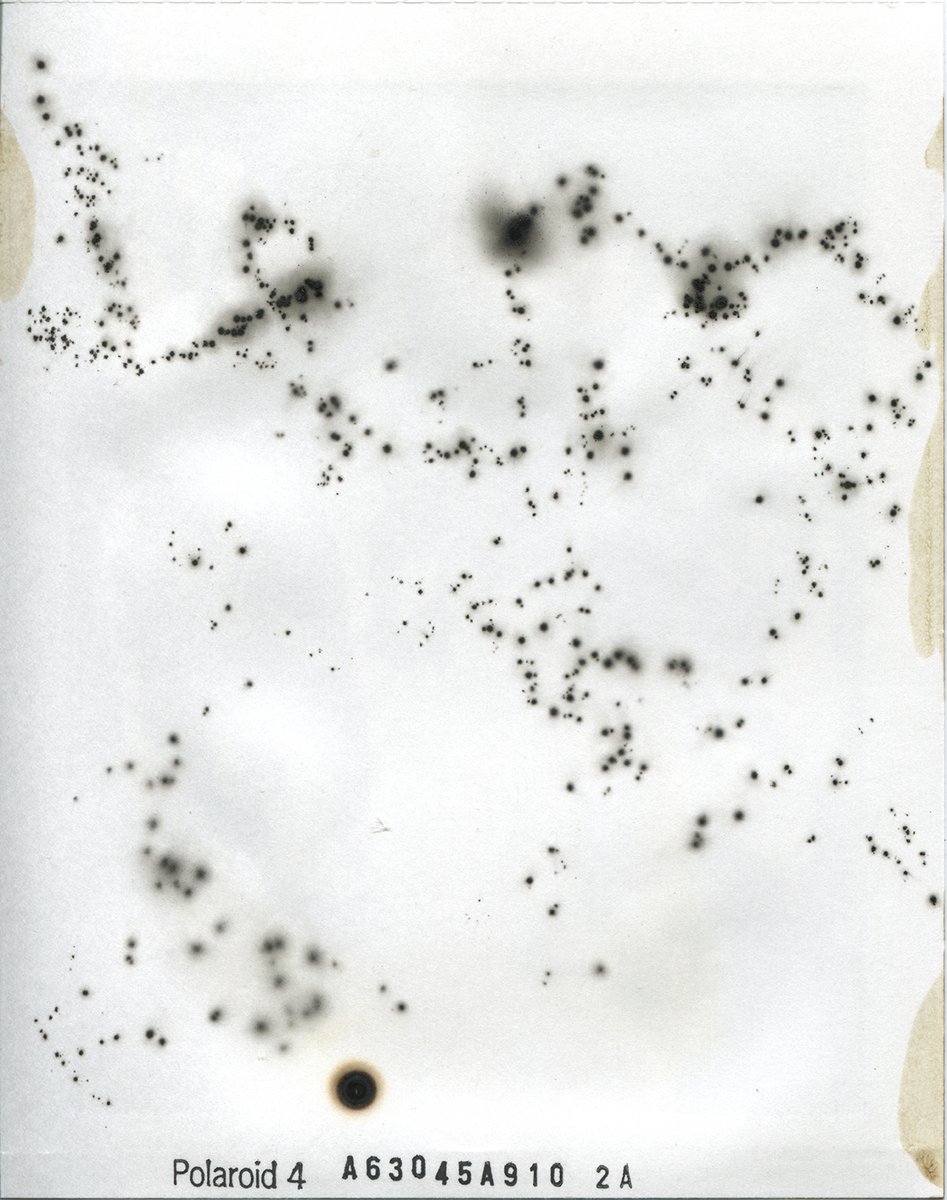 Phillip D Stearns tweet media