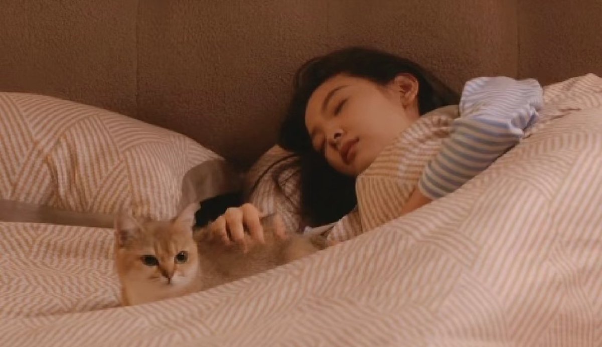 sang yan's 点点s are beautiful 🐈