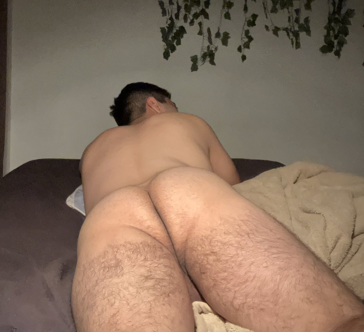 Fabian Gonzalez tweet media