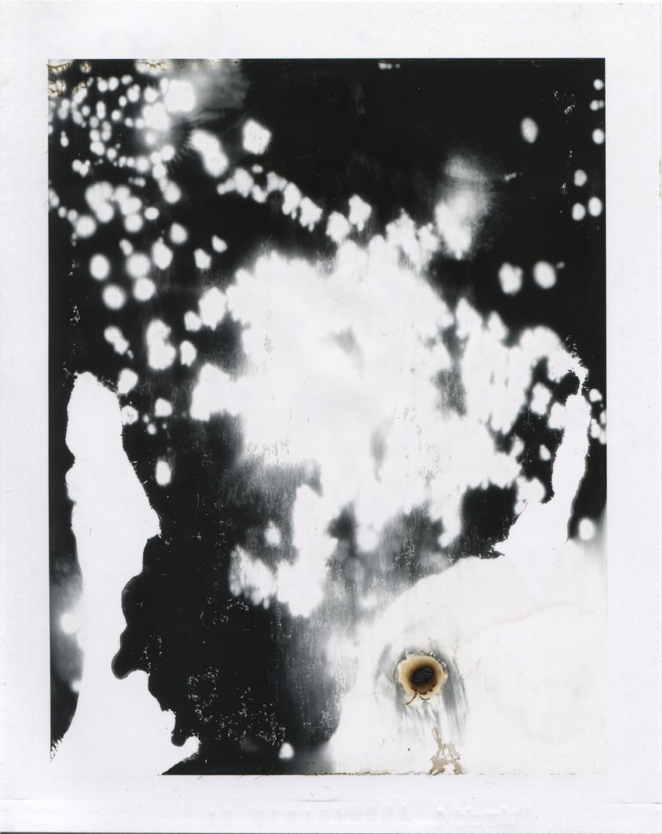 Phillip D Stearns tweet media