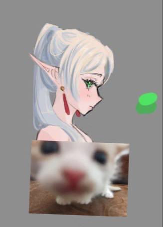 zemruna's tweet photo. :P https://t.co/aHcBtL3xwi