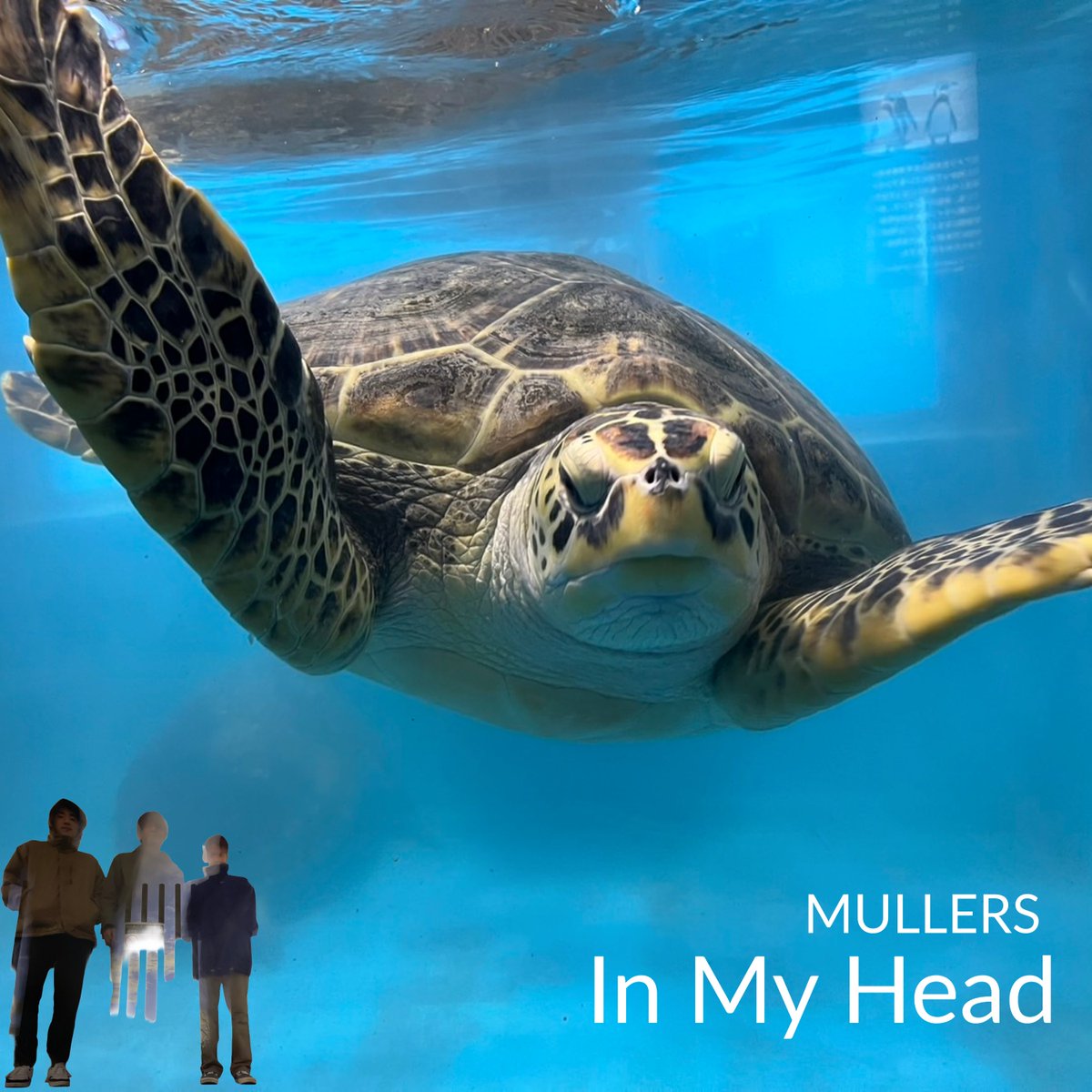MullersBand's tweet photo. New Release！！

1st EP "In My Head"
2026.2.28 00:00より配信開始しました!

　　　　　　　　　　　聴いてね！！ https://t.co/PhRzorXiSE