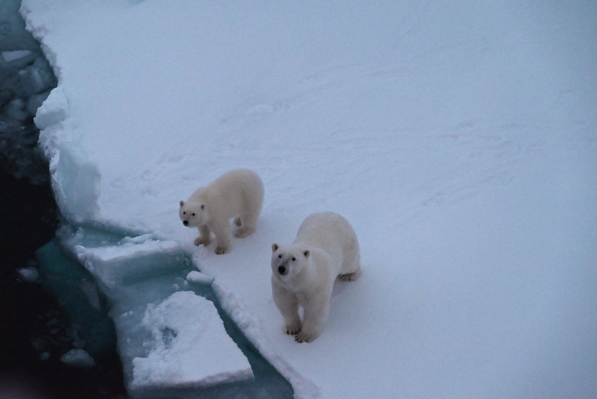 Canadian Coast Guard tweet media