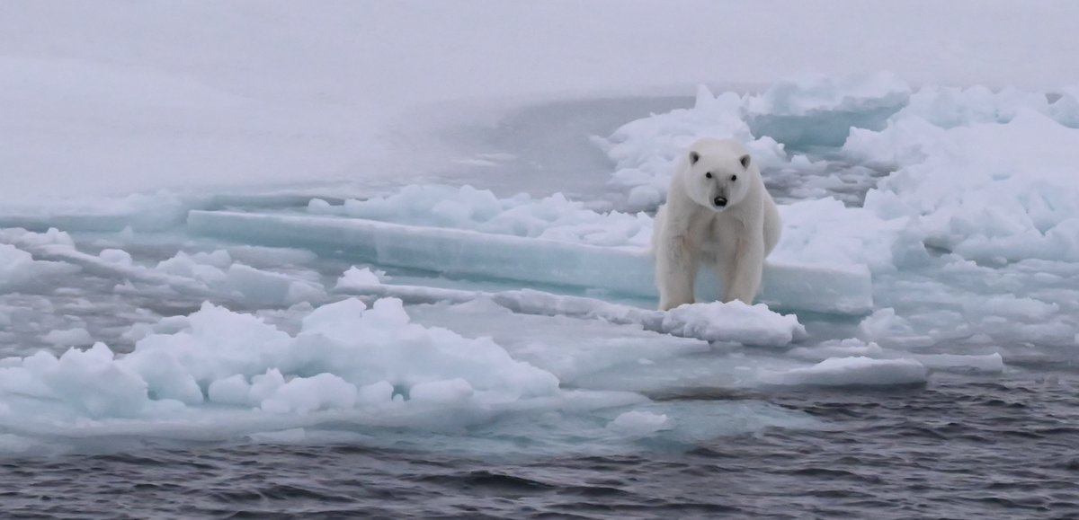 Canadian Coast Guard tweet media