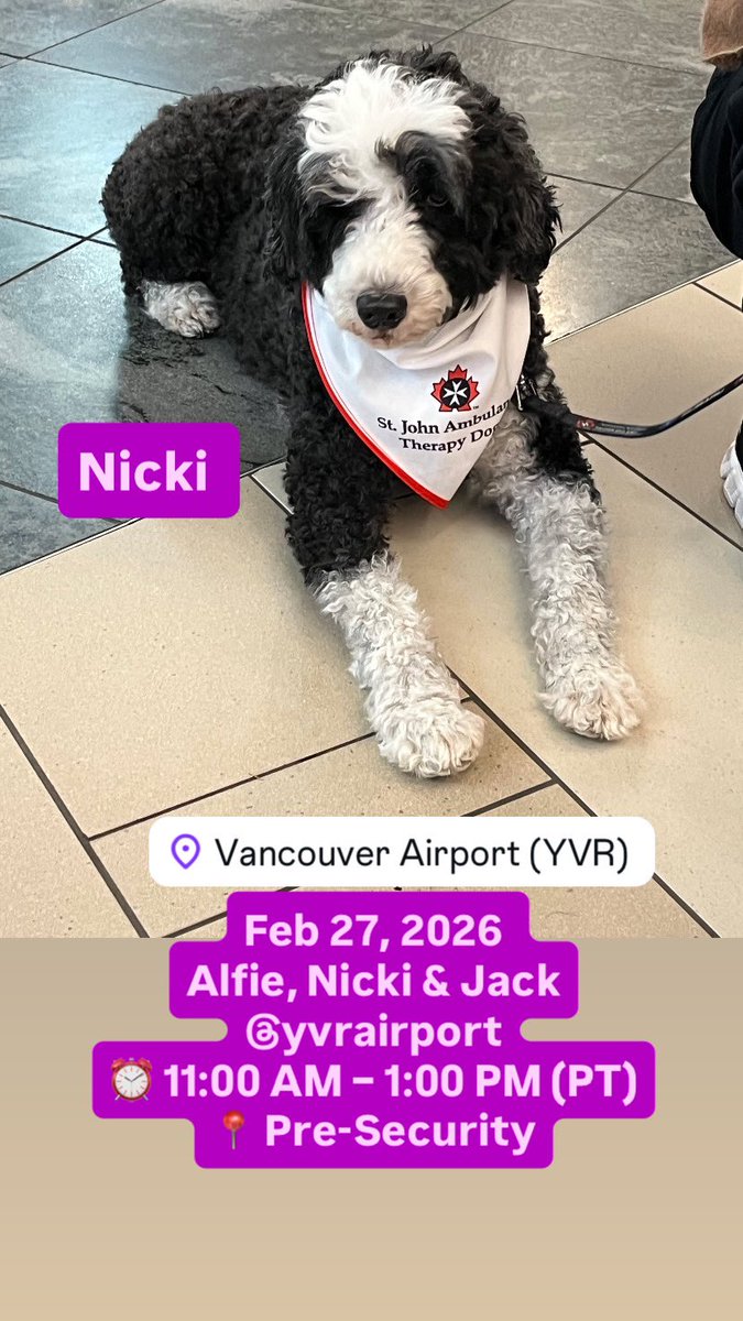 APTherapyDogs's tweet photo. Feb 27, 2026 | Alfie, Nicki &amp; Jack
@yvrairport 
⏰ 11:00 AM – 1:00 PM (PT)
📍 Pre-Security

#airporttherapydogs #travelhappy #YVR #LASI #vancouverairport https://t.co/Dd8Cwek0HI