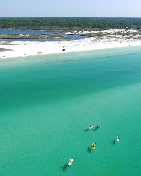 FL State Parks Foundation tweet media