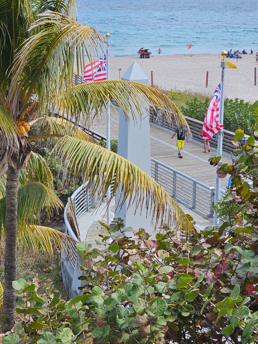 1776 Landing tweet media