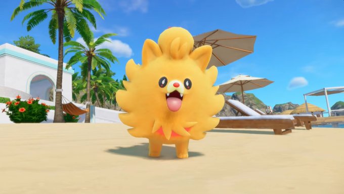 _Splexus's tweet photo. I would die for this little guy.

please do not stand up https://t.co/U4GHUebSy7