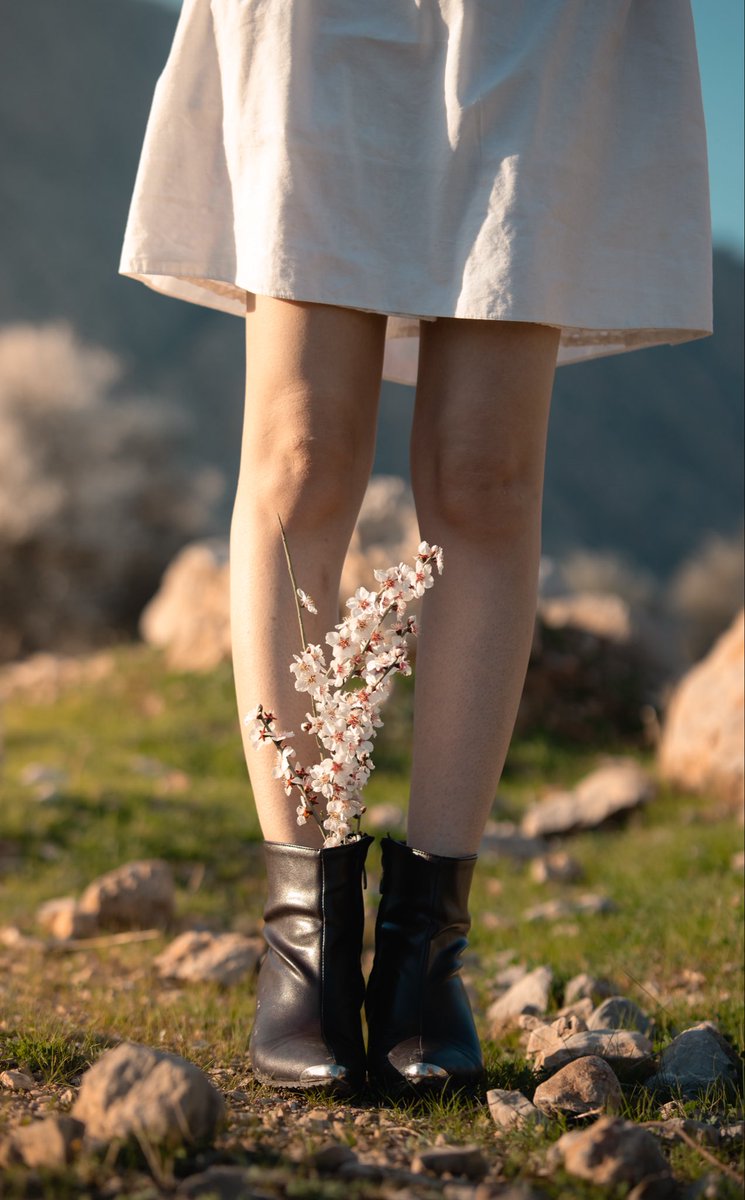 همسر مرحوم ونگوک✨ tweet media