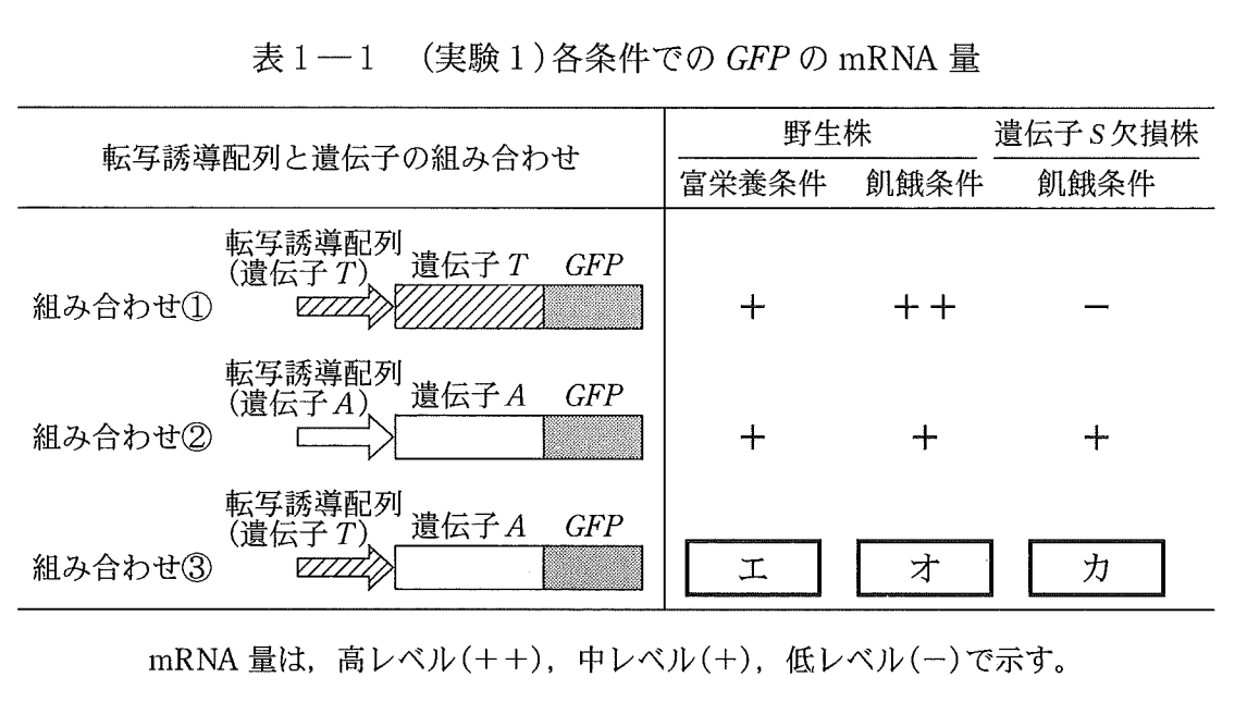 u1_7no's tweet photo. ふと今年の東大生物を見てみたら、1問目がpombeの減数分裂！どなたが作問されたのだろう…　これってやっぱりMmi1とDSRですよね…　Harigaya et al., 2006にしか見えない…　https://t.co/qLH7Y9j16b���https://t.co/7PDZuwCgIB https://t.co/ZZX7sTYAg9