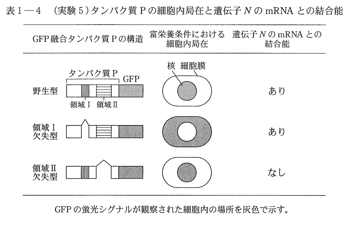 u1_7no's tweet photo. ふと今年の東大生物を見てみたら、1問目がpombeの減数分裂！どなたが作問されたのだろう…　これってやっぱりMmi1とDSRですよね…　Harigaya et al., 2006にしか見えない…　https://t.co/qLH7Y9j16b���https://t.co/7PDZuwCgIB https://t.co/ZZX7sTYAg9