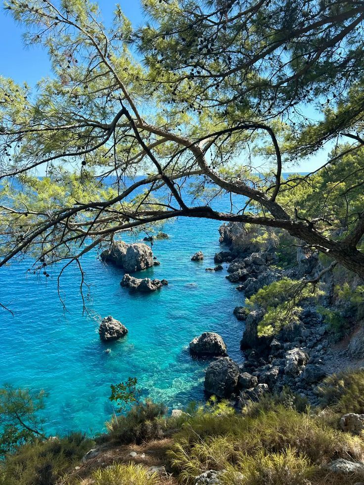 MozartCultures's tweet photo. Turkish Blue https://t.co/razfQkZZo3