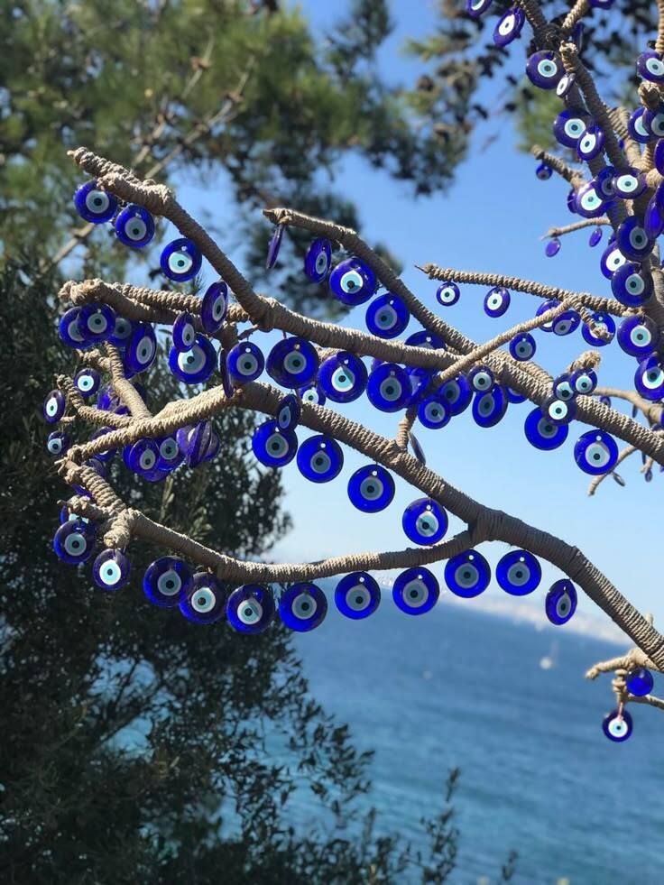 MozartCultures's tweet photo. Turkish Blue https://t.co/razfQkZZo3