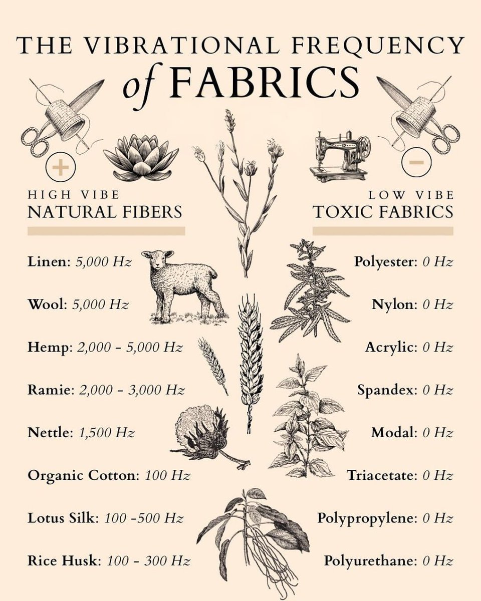 Tallow Twins | Skincare tweet media