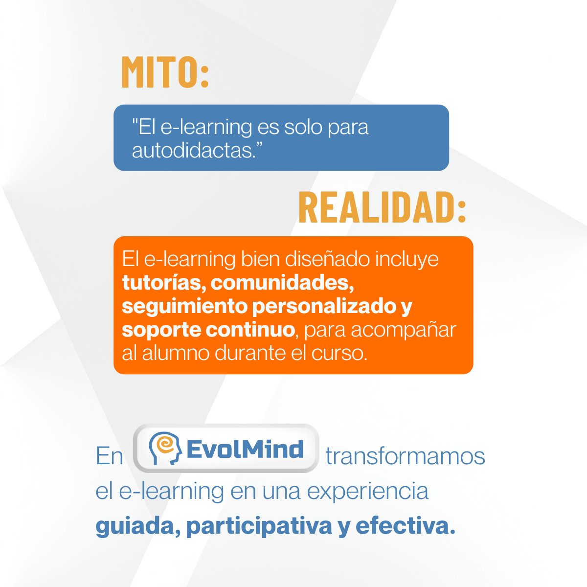 EvolMind tweet media
