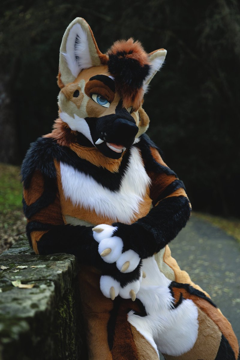 𝕂𝕒𝕫𝕚 tweet media