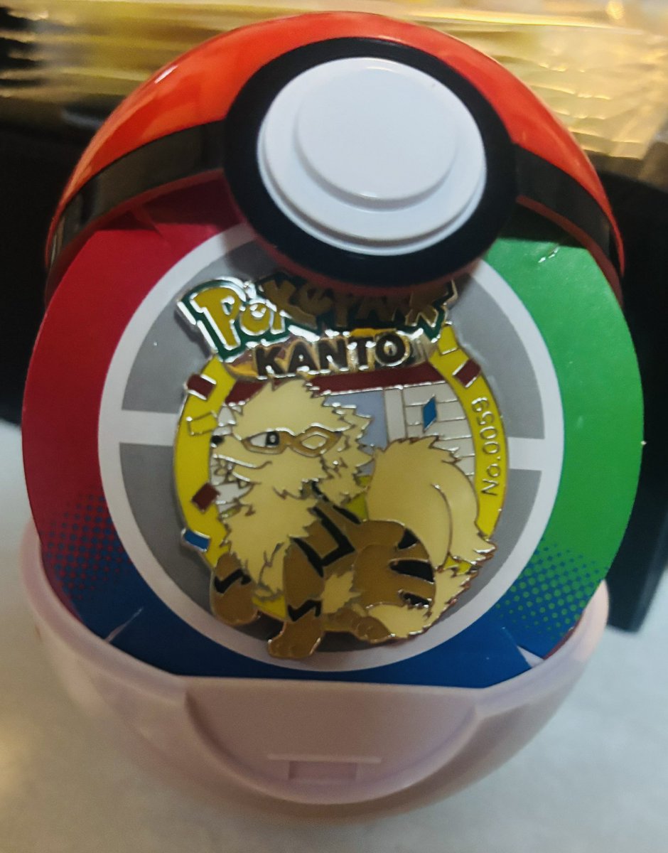 ポケパークお疲れ様の皆様へ ピンズのモンスターボールどうしてますか