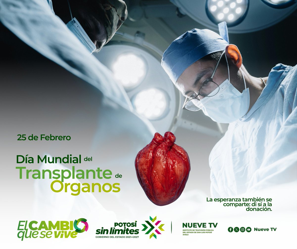 NueveTVslp's tweet photo. 💚 Donar órganos es regalar vida y esperanza.
Hoy, en el Día Mundial de los Trasplantes de Órganos, recordamos que una decisión puede salvar muchas vidas.
Infórmate, compártelo y habla del tema en familia.

@RGC_Mx 
#DonaÓrganos #RegalaVida #NueveTV #Canal9 https://t.co/oYlq22j6Fr