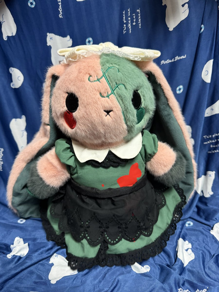 こちらでお友達に選んで頂いたドロシーちゃんが到着しましたʕ*•ﻌ•ʔฅ