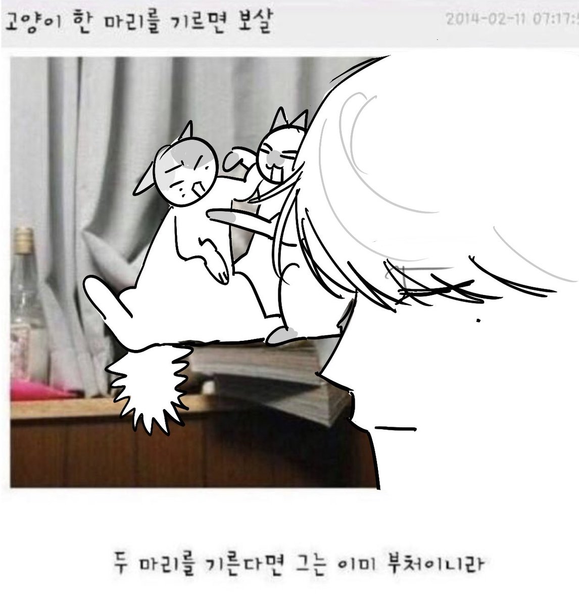 ໊ tweet media