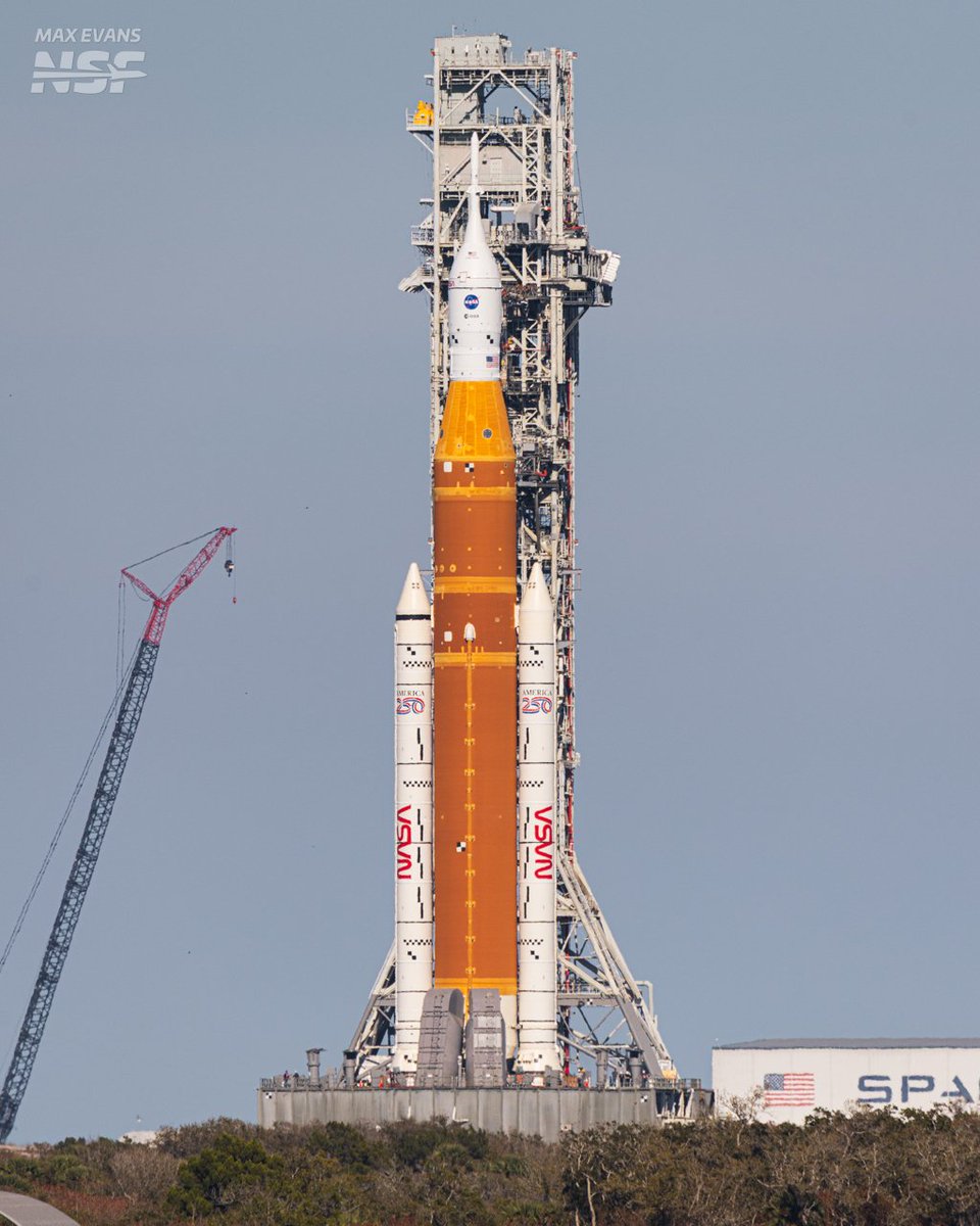 Ryan Caton tweet media