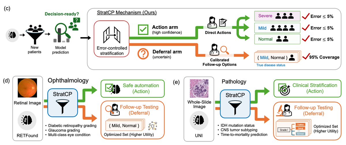 Ying Jin tweet media