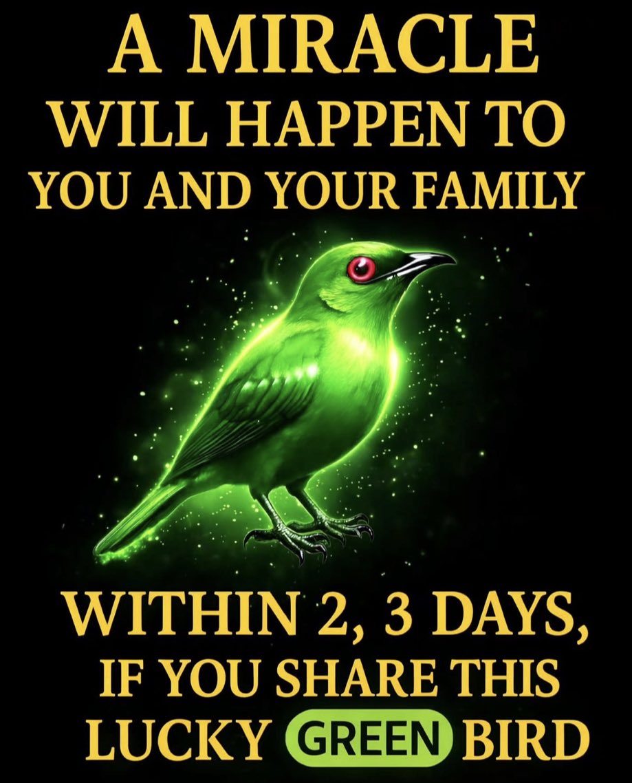 🌟findinmyway2luv🌟 tweet media