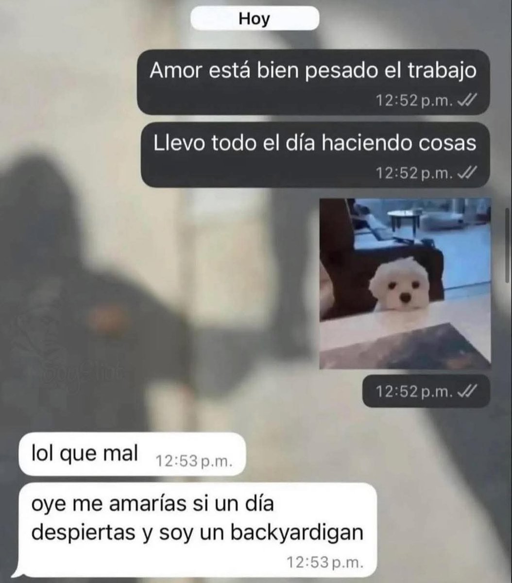 En Júpiter tweet media