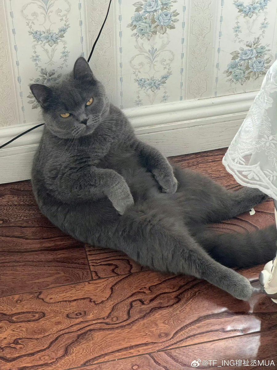 恩恩有点困 tweet media