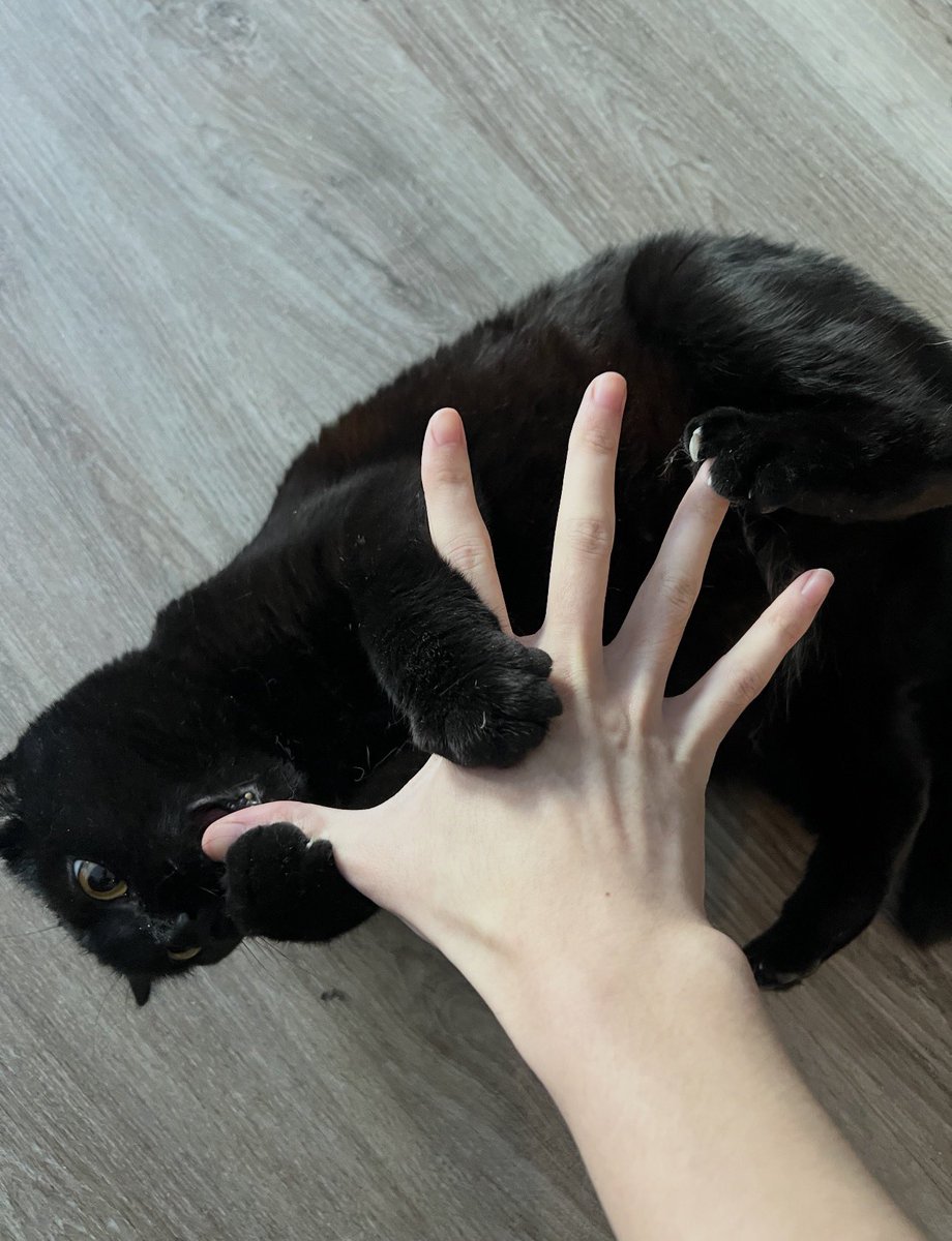 Zi (missy)🍵 tweet media