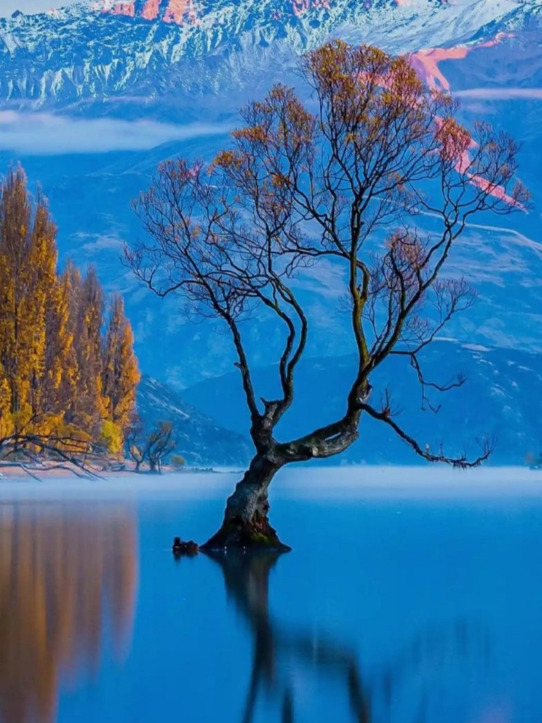 न्यूजीलैण्ड तेरे लेक से प्यारी जगह मेरे देश में है🤑
ढिंगा चीका। 
कौन तपस्या करके कोकिल इतना सुमधुर स्वर पाया
और चंपक, 
कौन तपस्या करके कोकिल काली करली अपनी काया। 
शुभ रात्रि मित्रों।