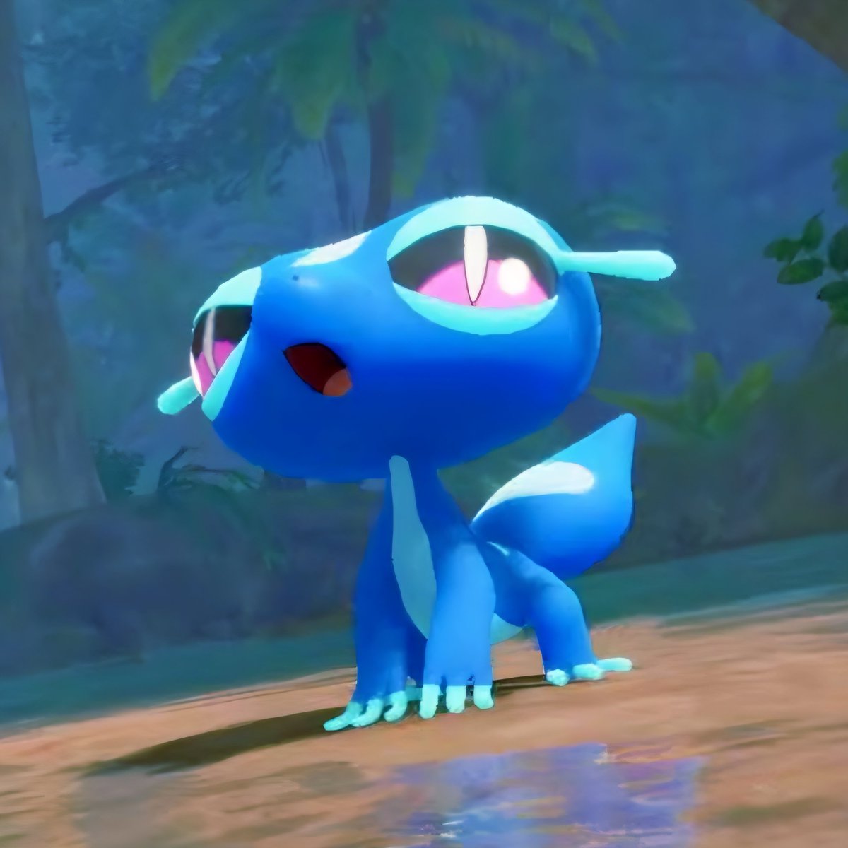 shinycase's tweet image. gecqua nation rise up