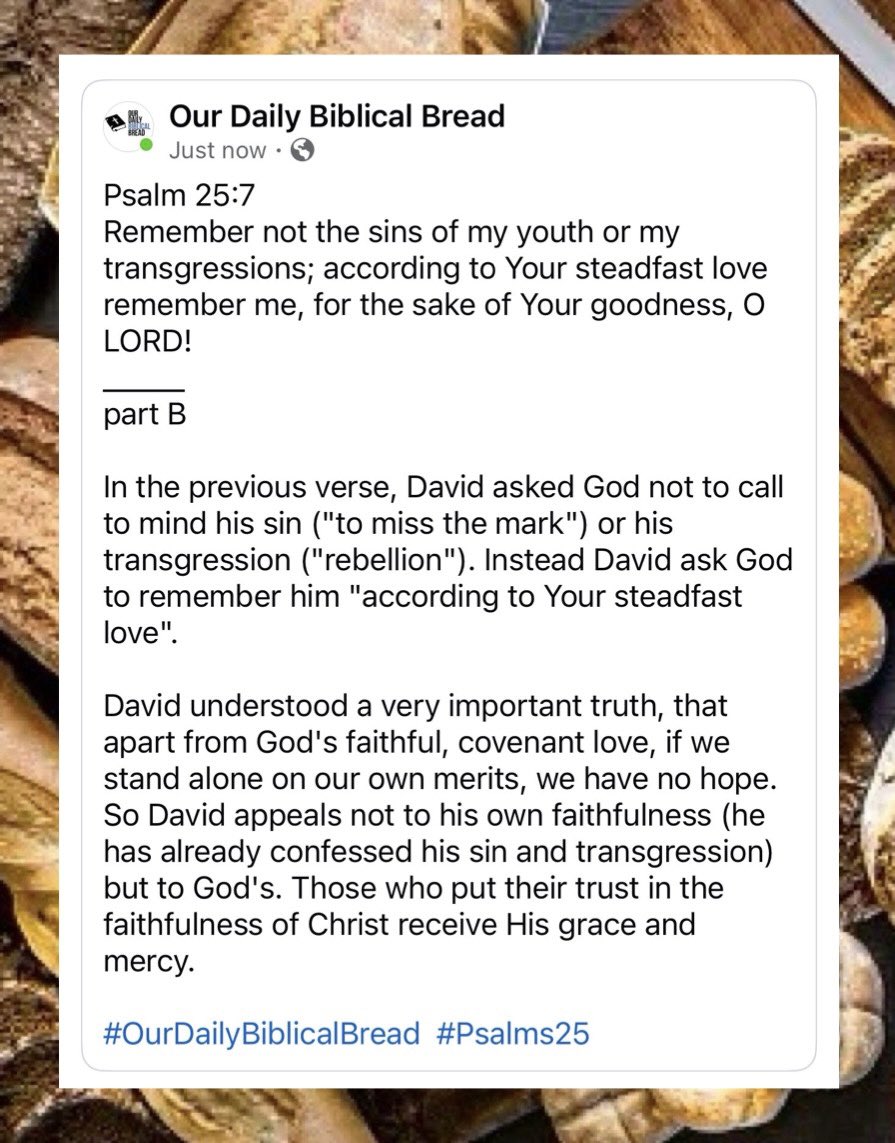 Our Daily Biblical Bread (@BiblicalBread) / Posts / X