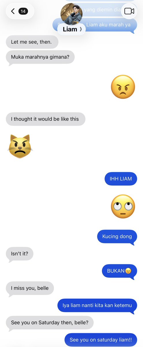 ℛ — REST tweet media