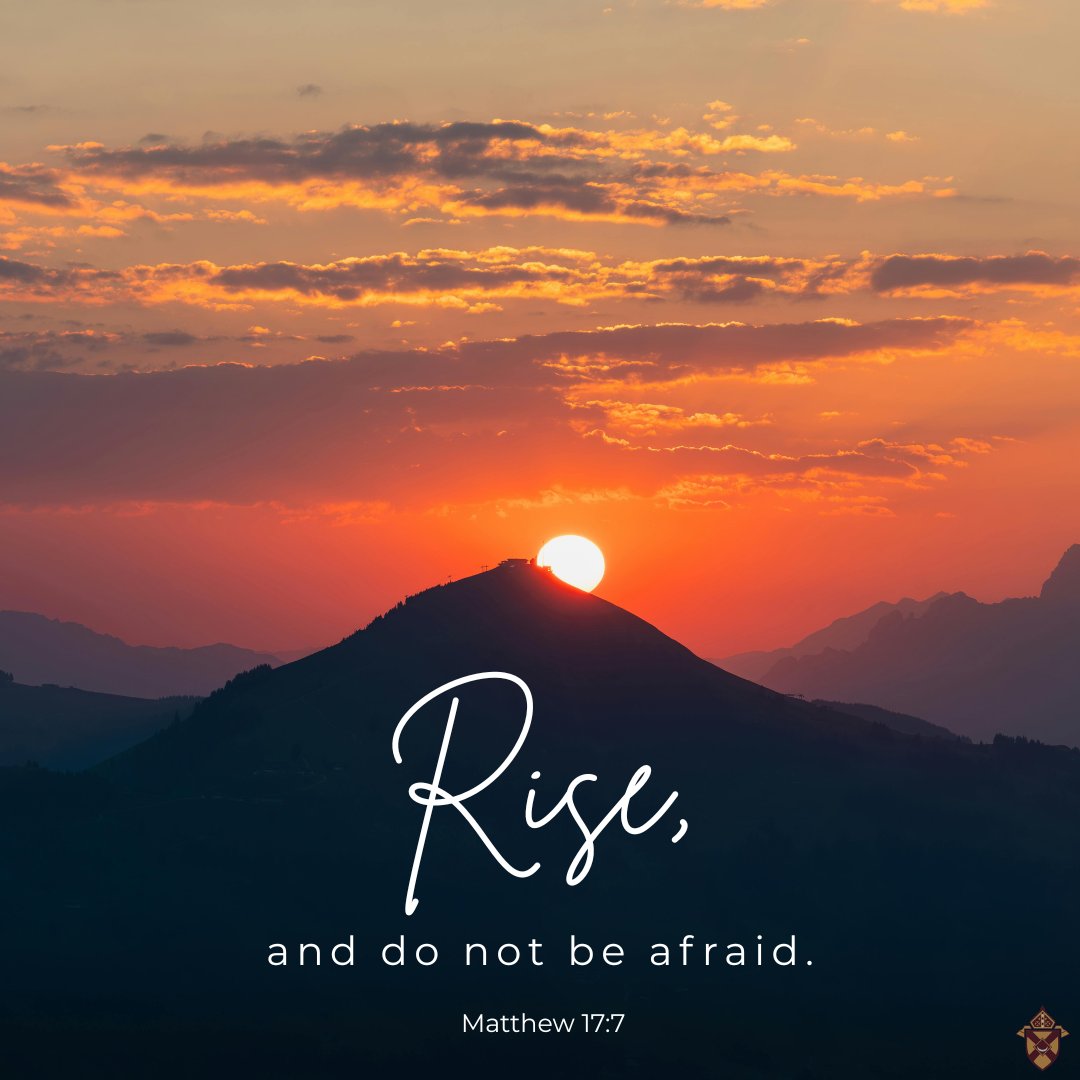 Diocese of Rochester tweet media