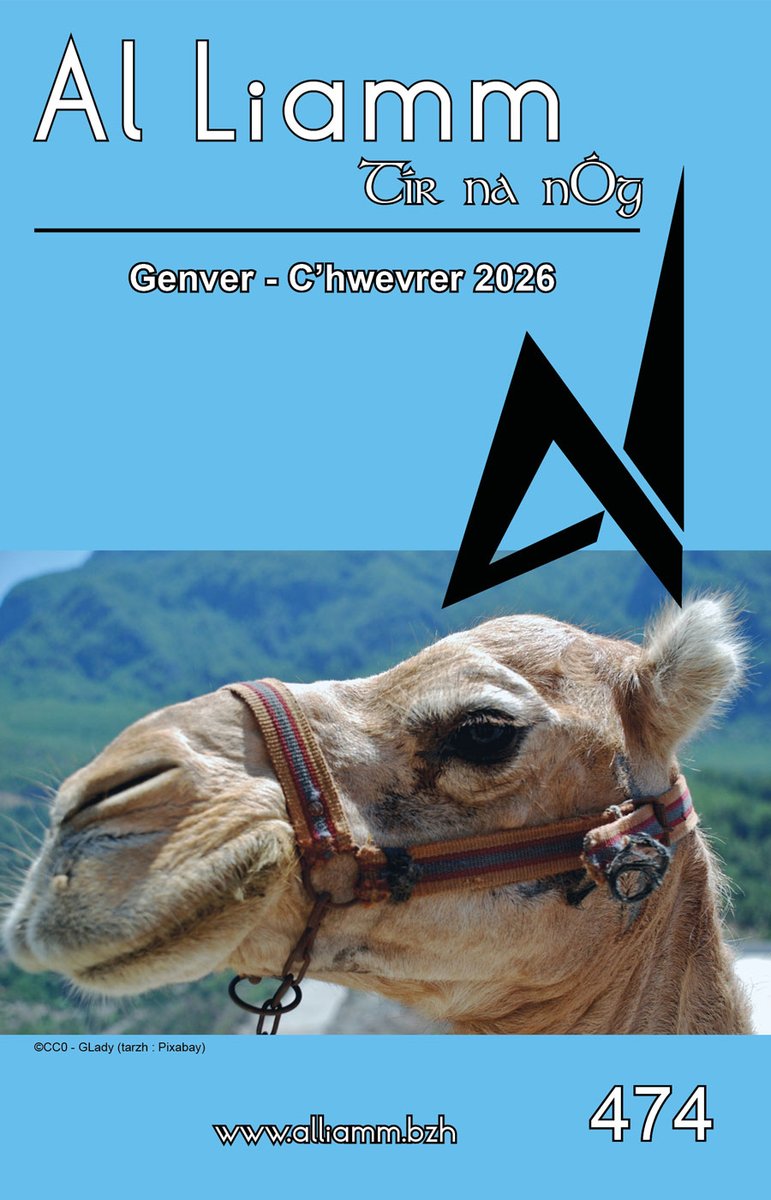 Al Liamm tweet media