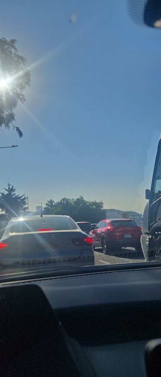 Beatriz Marcelino tweet media