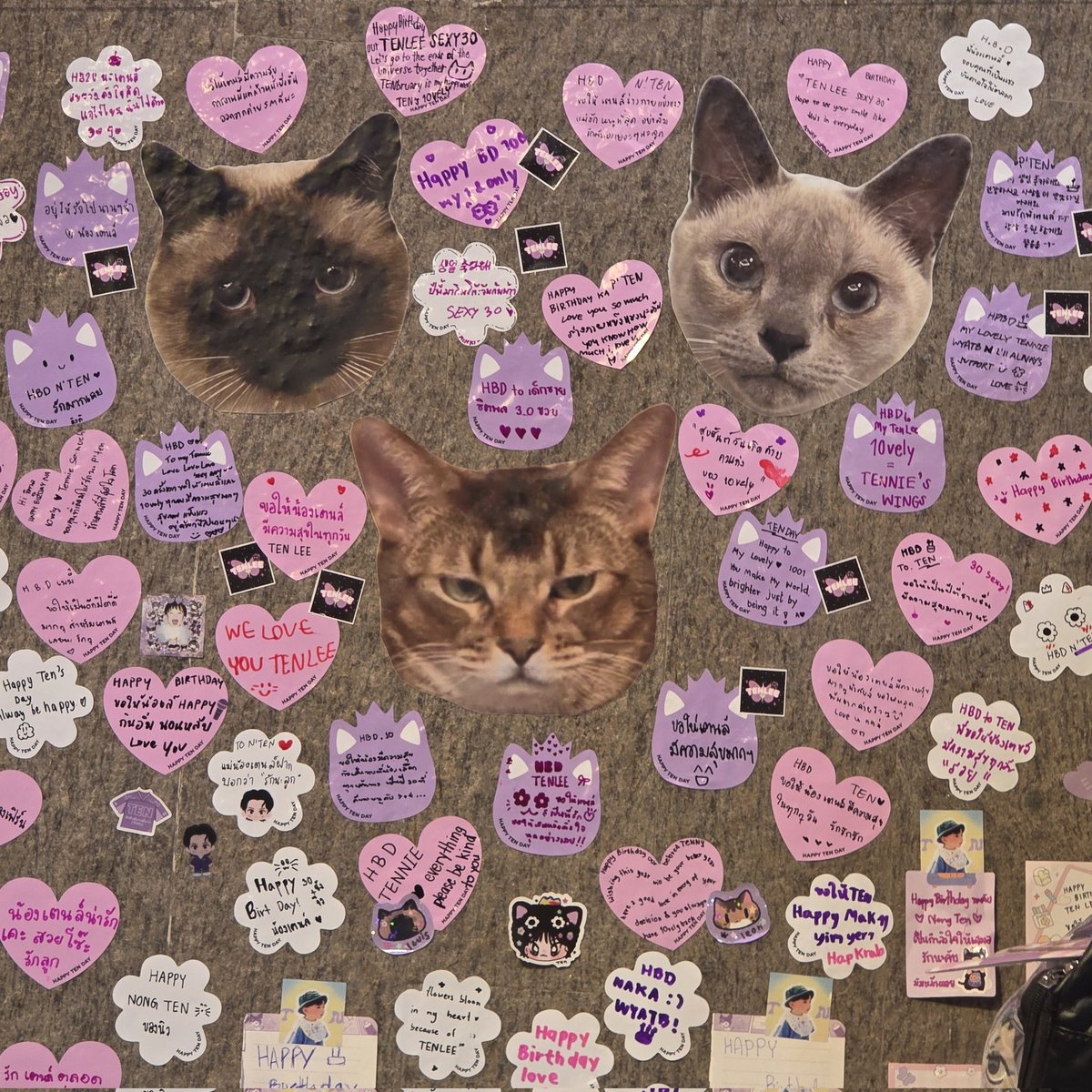 ฉบับตอนกลางคืนสวยมากทั้งแสงไฟทั้งป้ายที่เลิฟลี่มาแปะน่ารักมากๆ💜💝💫
#HAPPYTENDAY