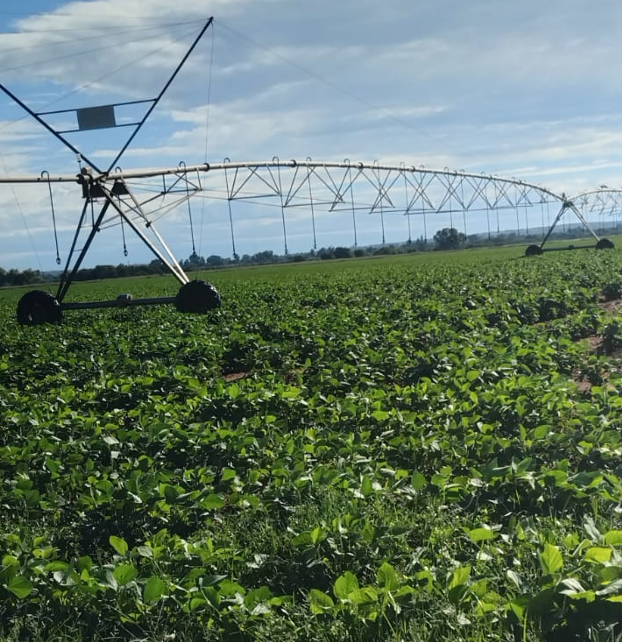 FarmSol Holdings tweet media