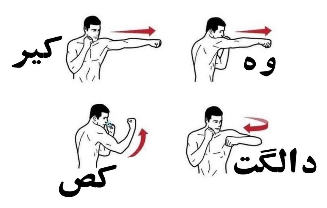 🇮🇷آشو tweet media