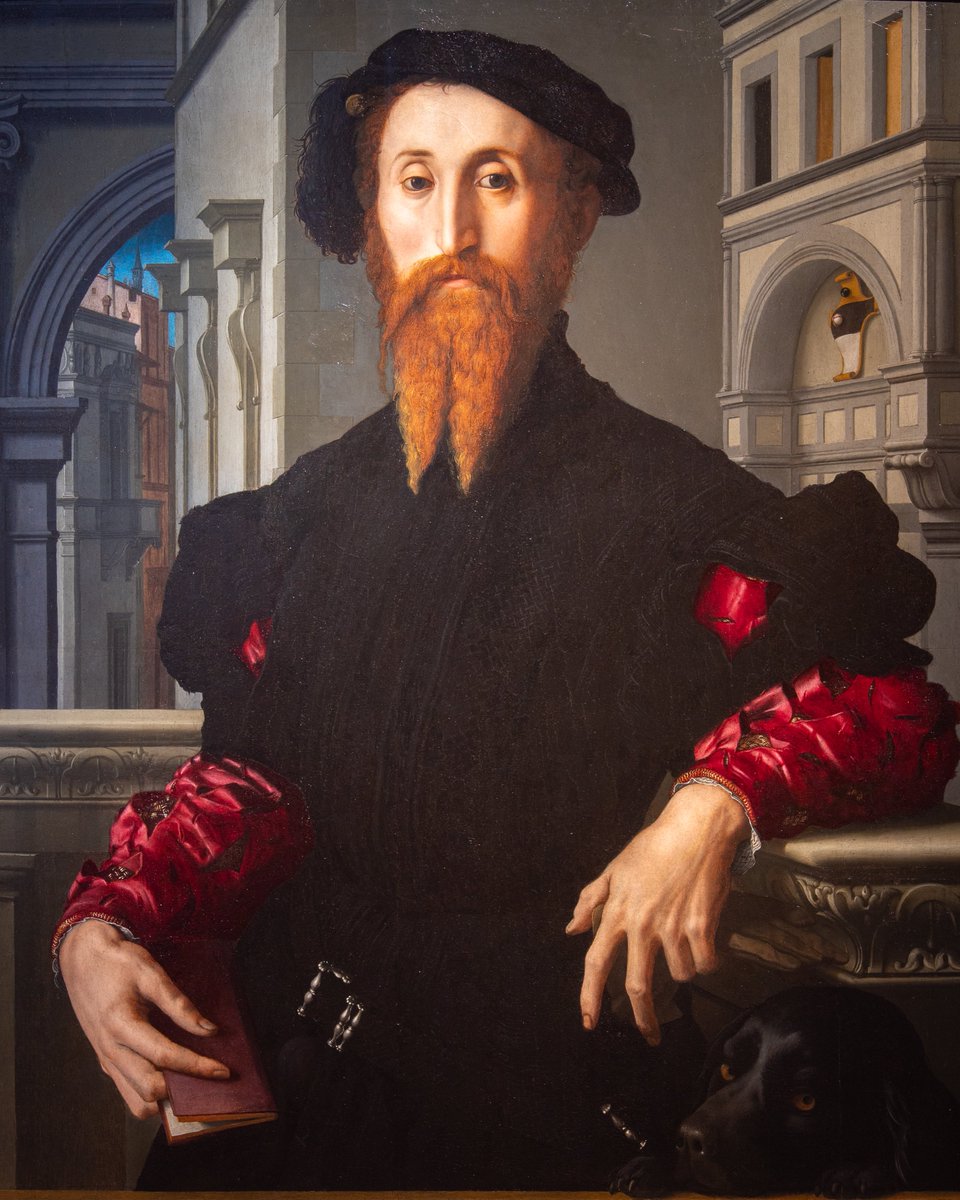 UffiziGalleries's tweet image. L’eleganza  controllata, la giacca scura, il rosso acceso della camicia intessuta  d’oro raccontano status e  storia di un uomo potente e pienamente inserito nell’élite  fiorentina del #Cinquecento.

🎨 Agnolo Bronzino, #Ritratto di Bartolomeo Panciatichi, olio su tavola #Uffizi