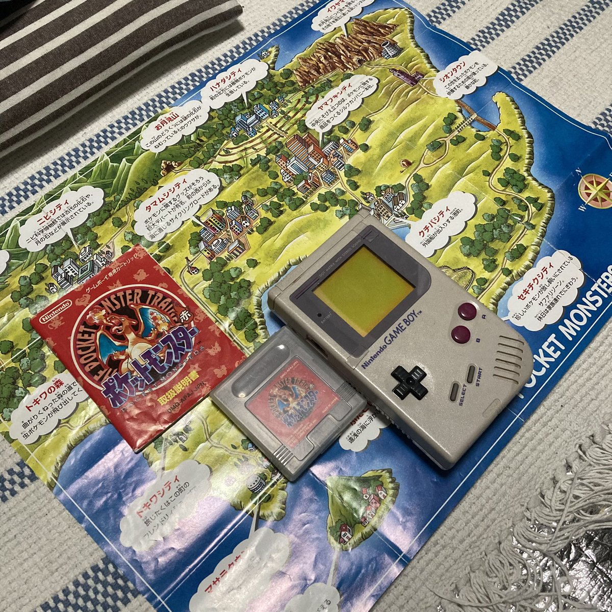 ちゃんと実家から持ってきてたポケモン赤、箱は見付かってないけど説明