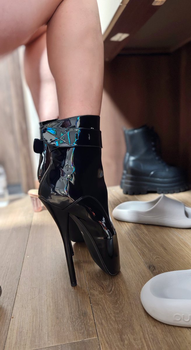 星喵梦年 tweet media