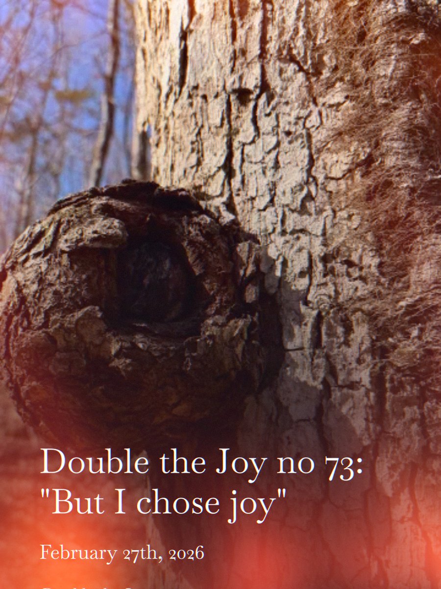 Adam Tisdale tweet media